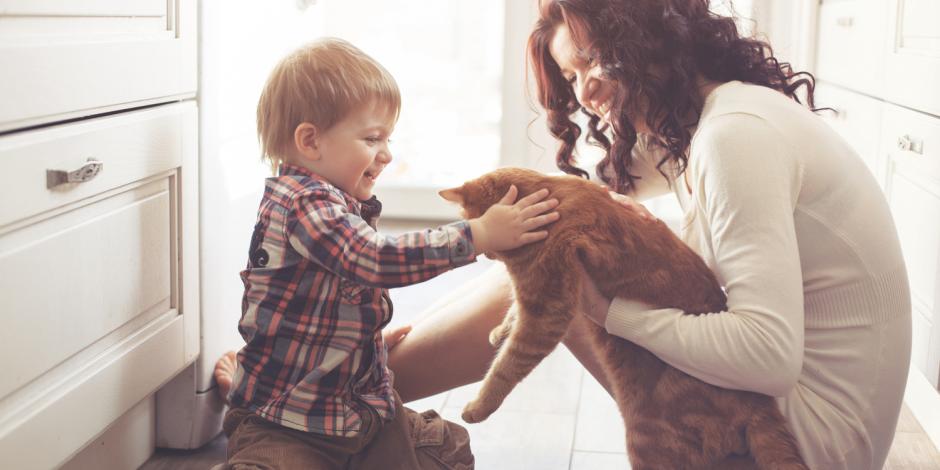 Green Homes Illinois, Mother with child and cat on kitchen floor, IL